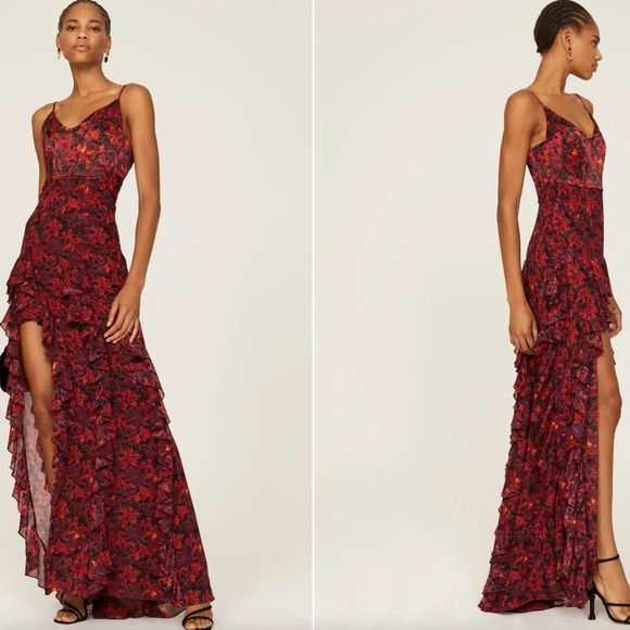 cinq a sept Dresses & Skirts - sz 2 Stargazer Lilies Glenda Gown dress Cinq à Sept Long Floral Printed Ruffle